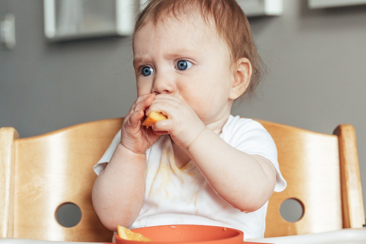 Bébé assis dans une chaise haute devant de petits bols de purées de légumes colorées