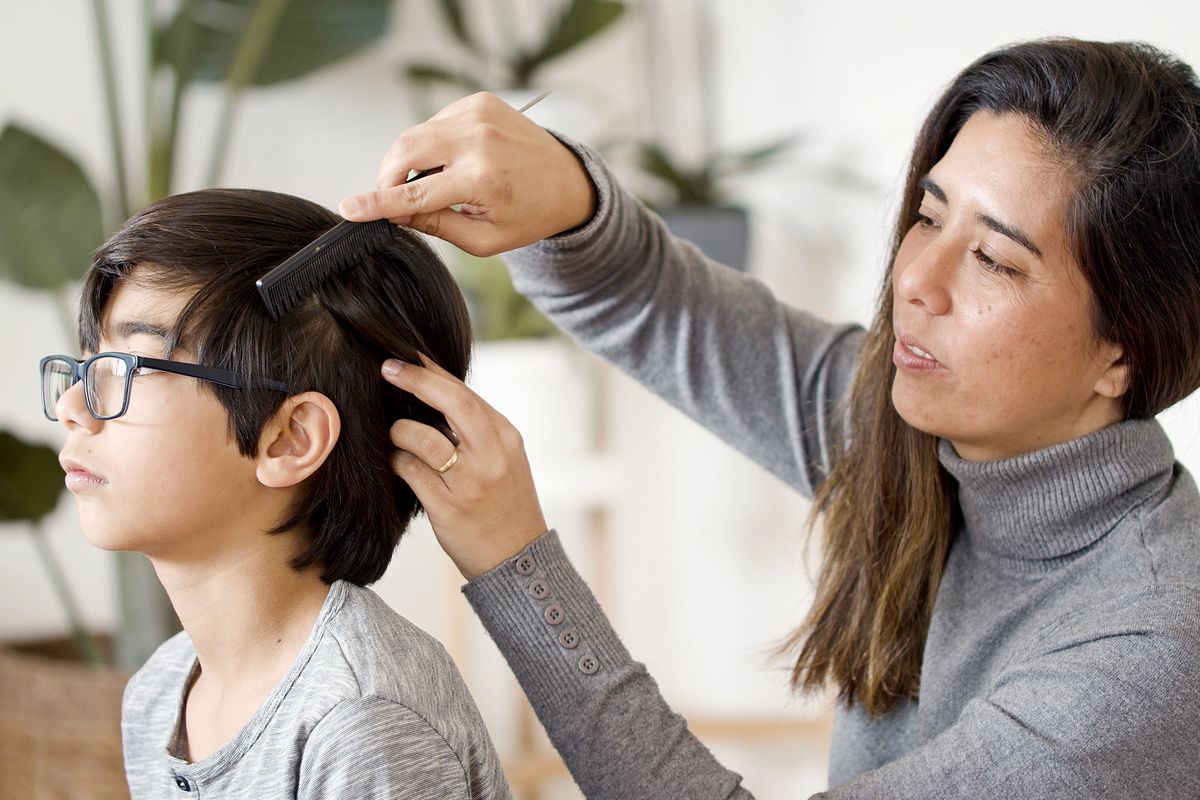 Parent inspectant avec un peigne fin les cheveux d'un enfant pour rechercher des poux